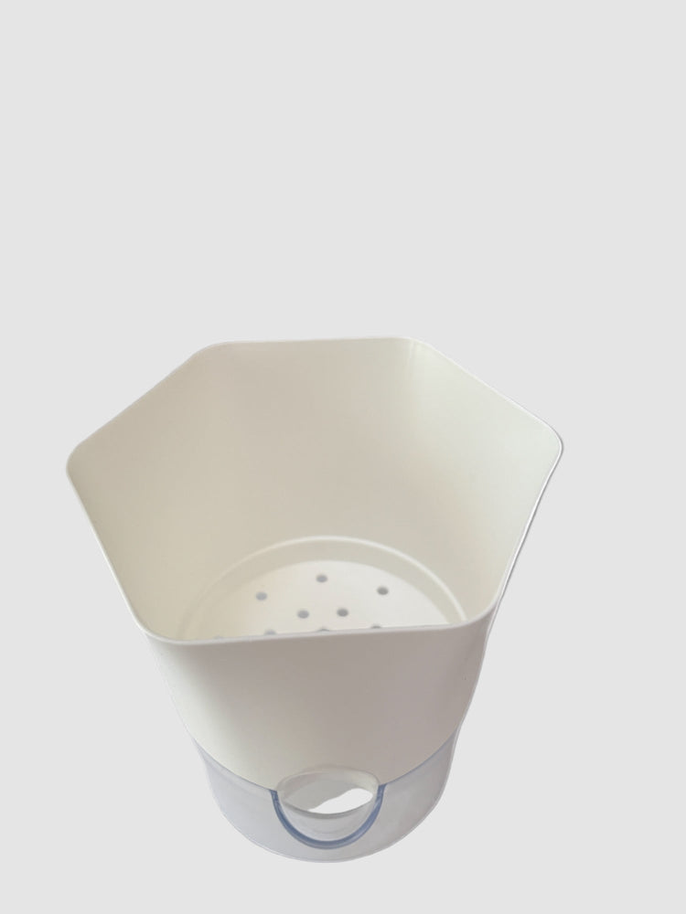 Self-Watering Pots