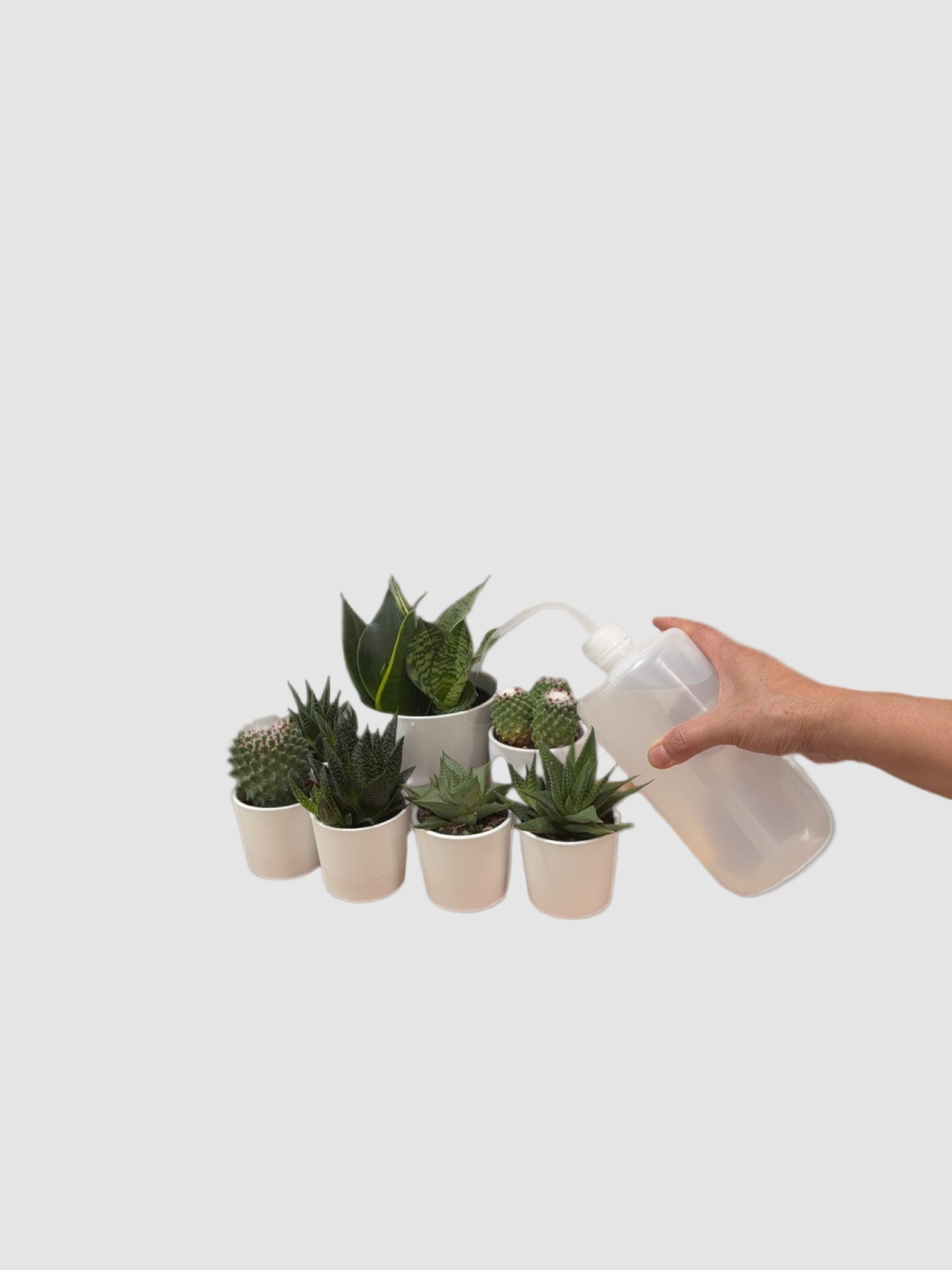 Curved Spout Watering Can - Long Reach | Plantalure